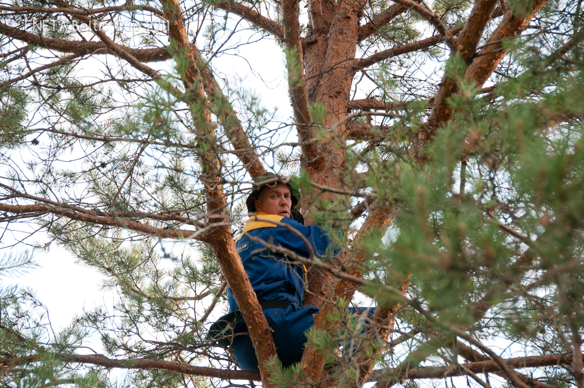 Is it high enough or shall I climb higher?